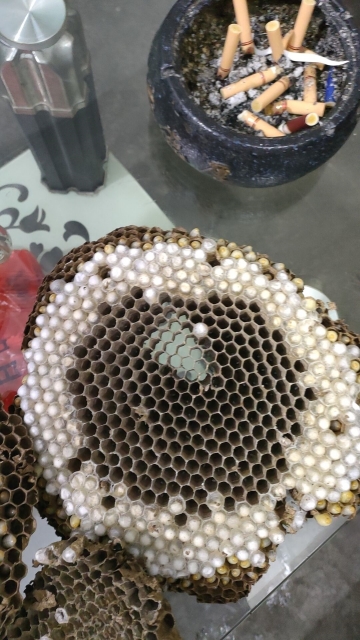 17096033542088712.jpg 17096033542088712.jpg