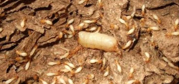 ��ρ֪�R(sh��)