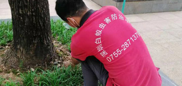 ��ρ����