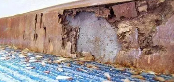 ���x(ch��ng)֪�R(sh��)