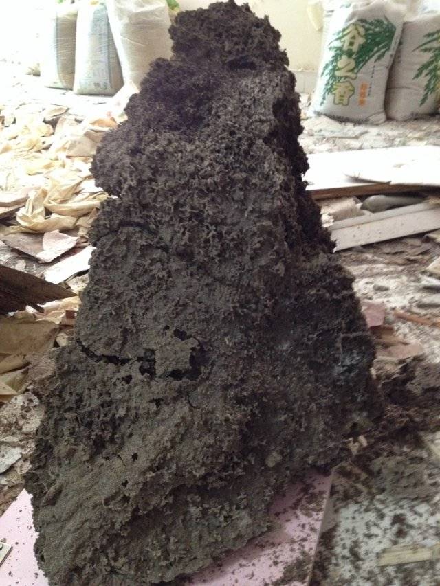 ���ڰ�ρ���� ��ρ��