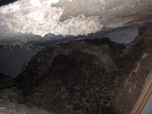 �Ϸ��������b�� �l(f��)�F(xi��n)�޴��ρ��