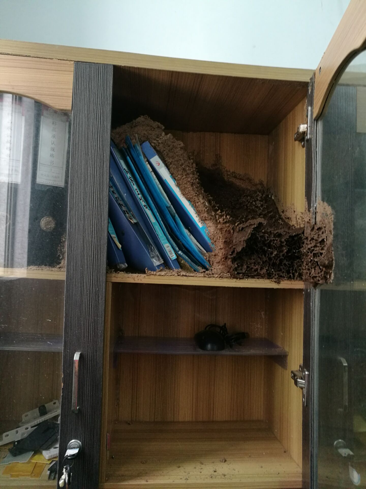 ���ڰ�ρ�������� ���ΰ�ρ�ķ���