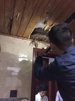 QQ圖片20190605171816.jpg QQ圖片20190605171816.jpg