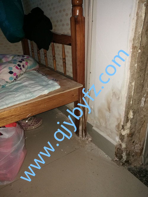 �T�� ���_�����ρ�Ɖ�