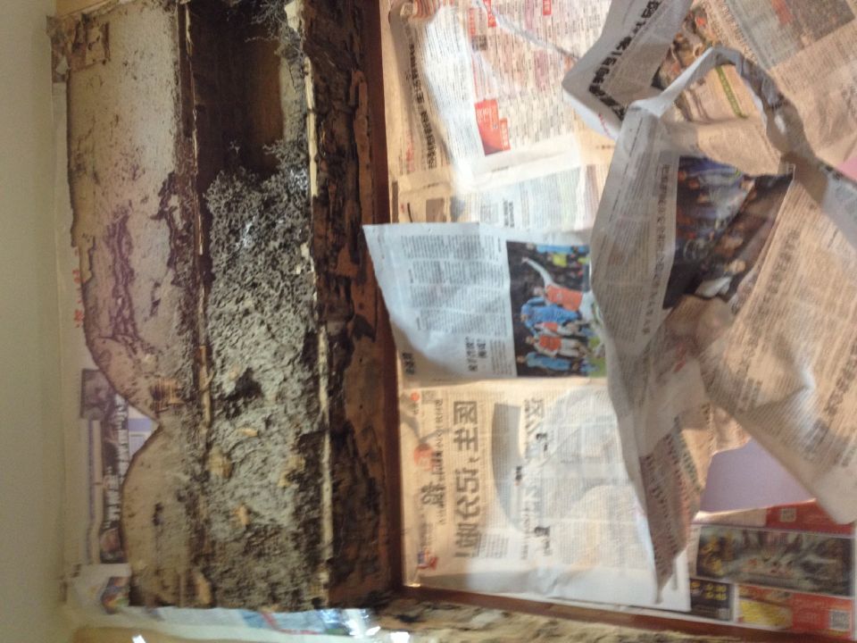 ��ρ�߷��� ����������