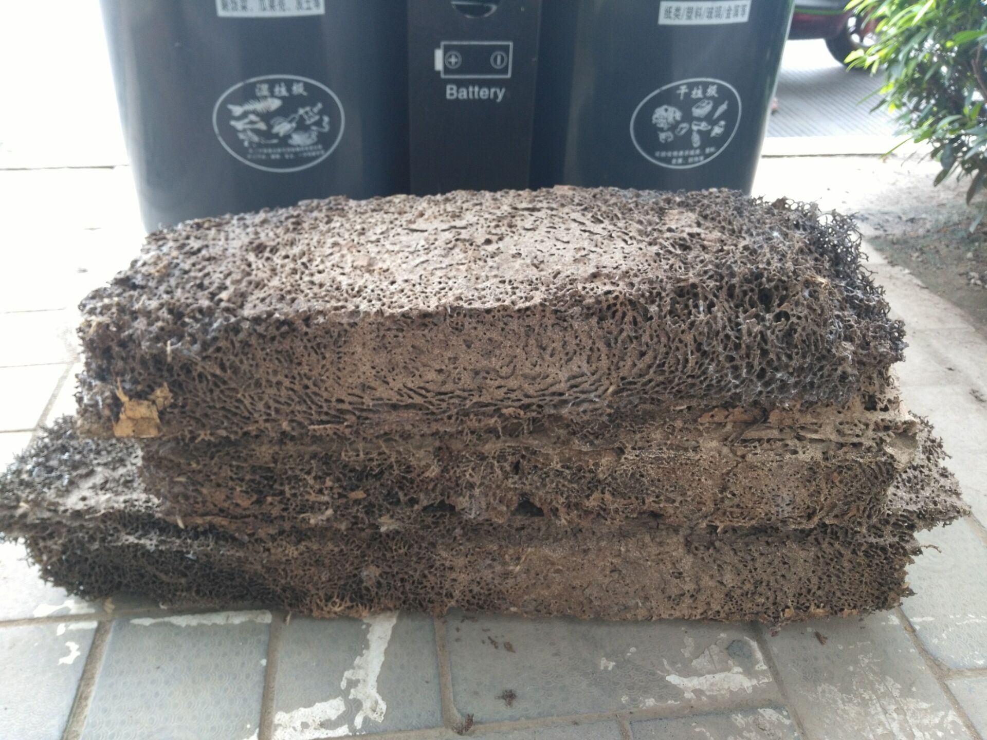 �}��^(q��)�|���A�S�ǰ�ρ����