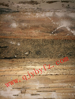 ��ͥ����ʯ���F(xi��n)��ρ·