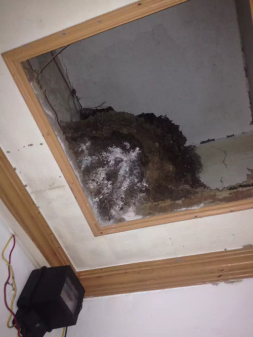 QQ圖片20190318223057.jpg QQ圖片20190318223057.jpg