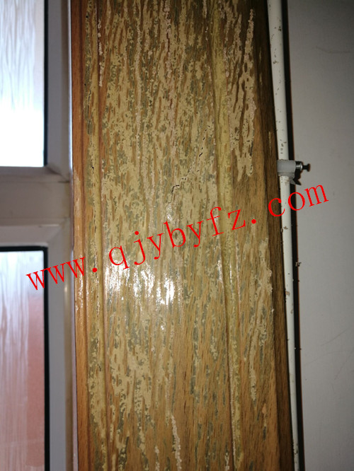 門窗被白蟻吃了會(huì)怎么樣