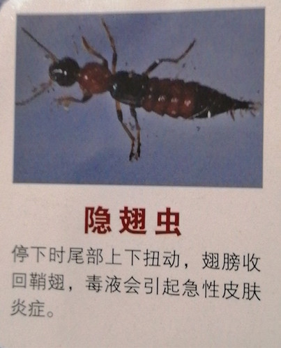 QQ圖片20190403220817.jpg QQ圖片20190403220817.jpg