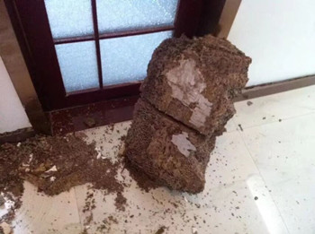 QQ圖片20190605171850.jpg QQ圖片20190605171850.jpg