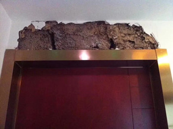 QQ圖片20190605171839.jpg QQ圖片20190605171839.jpg