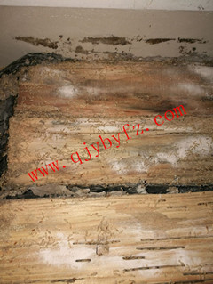 ��ͥ����ʯ���F(xi��n)��ρ·