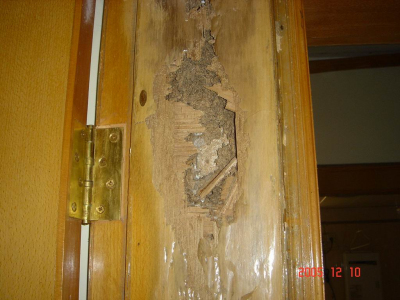 ���ΰ�ρ̎������