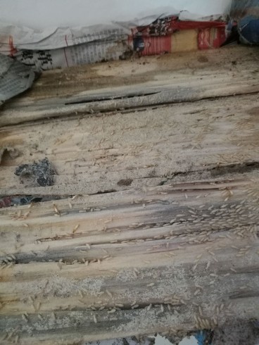 �}���ɽϪ��