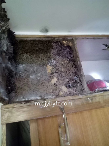 QQ圖片20190422101436.jpg QQ圖片20190422101436.jpg