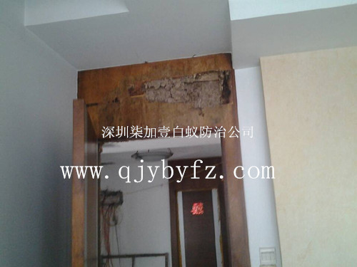 �T�򱻰�ρ������ô�k��