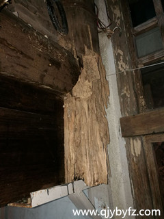 深圳白蟻防治 老舊房子主梁慘遭白蟻