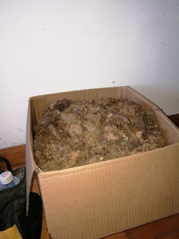 �¹�l(f��)�F(xi��n)��ρ �ײ��ڳ�����ρ��