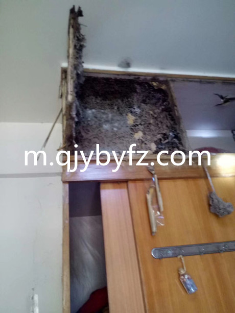 QQ圖片20190422101428.jpg QQ圖片20190422101428.jpg