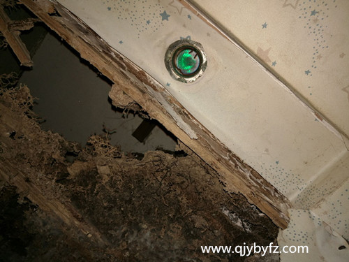 �컨���Ϙ�(g��u)����ρ��