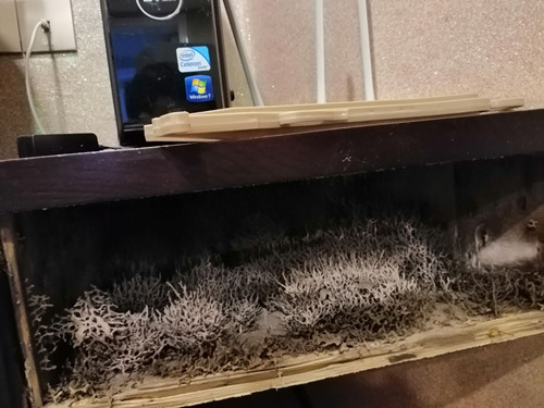 QQ圖片20190623232258.jpg QQ圖片20190623232258.jpg