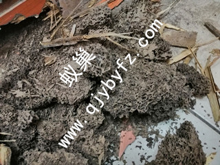 QQ圖片20181225181844.jpg QQ圖片20181225181844.jpg