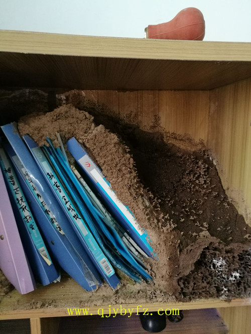 ���ڰ�ρ���� �}(c��ng)��(k��) �ļ��l(f��)�F(xi��n)��ρ