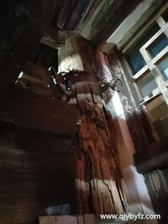 深圳白蟻防治 老舊房子主梁慘遭白蟻