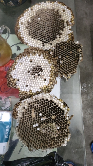 16932691718684080.jpg 16932691718684080.jpg