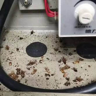 17128282869945173.jpg 17128282869945173.jpg