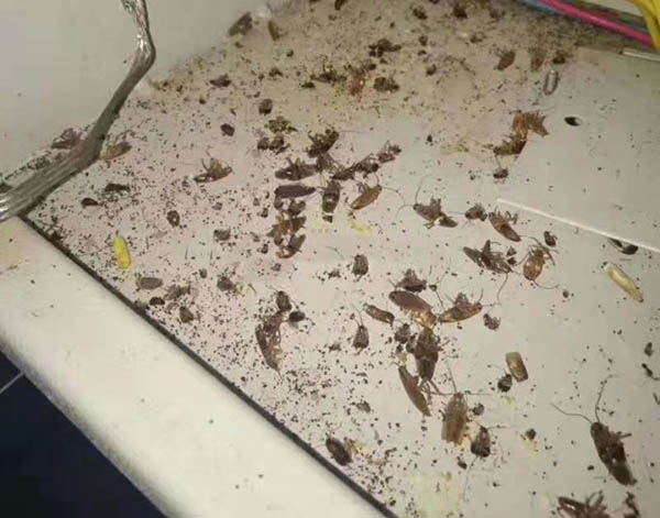 17128283251949048.jpg 17128283251949048.jpg