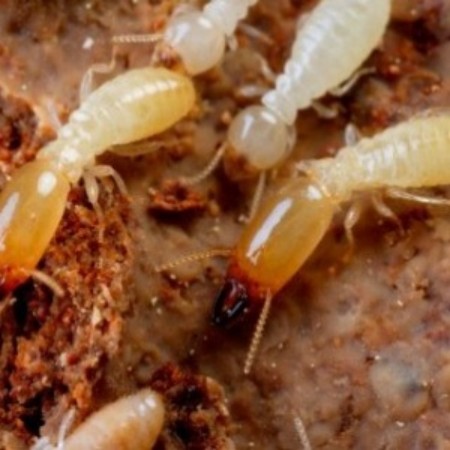 u=852458671,3329749471&fm=77&src=1008.jpg u=852458671,3329749471&fm=77&src=1008.jpg