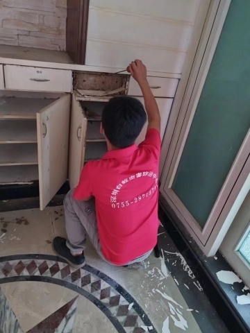 柒加壹白�?.jpg 柒加壹白�?.jpg