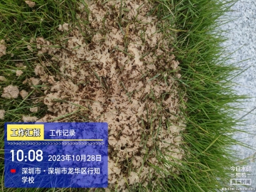 QQ圖片20240709174209.jpg QQ圖片20240709174209.jpg