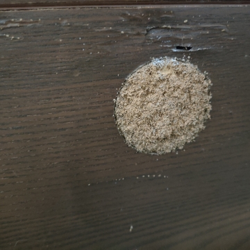 白蟻防治_20250605221724.jpg 白蟻防治_20250605221724.jpg