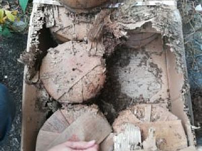 ���20������~����ρ����