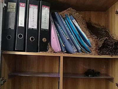 �ļ����ρ�����A(y��)��