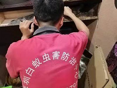 ����ƽ����ρ���� ��������˰�ρ��