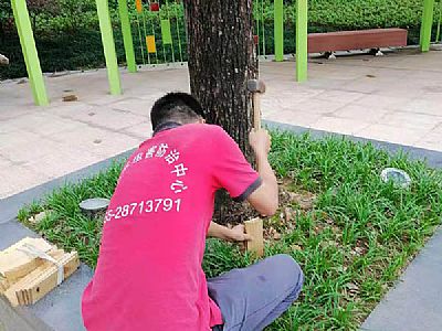 С�^(q��)�G��ֲ���ρ����