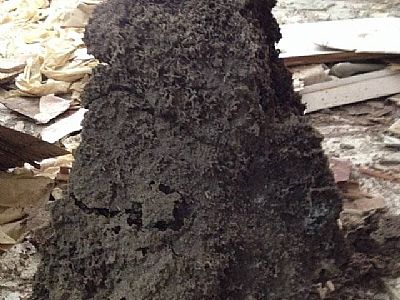 ���ڰ�ρ���� ��ρ��