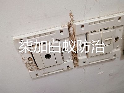 �����������ρ����