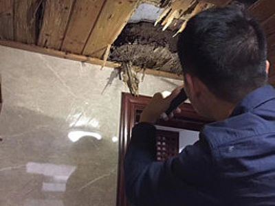 ����������ρ�ˆT�ڎ����컨���Ų鵽���Ͱ�ρ��Ѩ