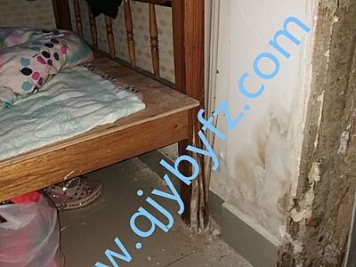 �T�� ���_�����ρ�Ɖ�