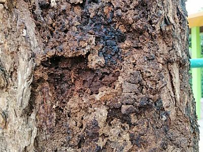 �|�Ä�(chu��ng)�¿Ƽ��@ �G������ρ����