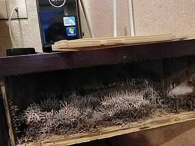 �����а�ρ���ӌ�F(xi��n)ρ��