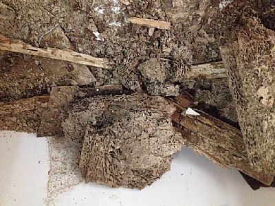 ��ρΣ���������