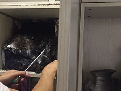 �����¹��·��K���ρ