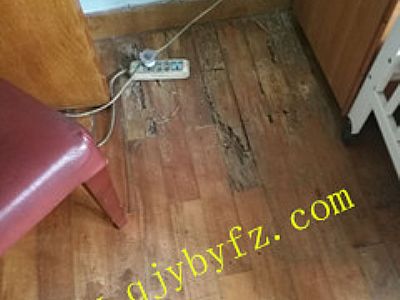 ���ڰ�ρ���� ���ΰ�ρ